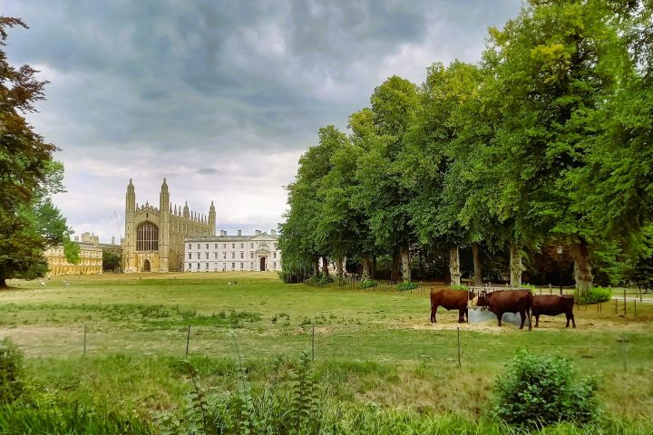 London Cab Tours - Cambridge Day Trip