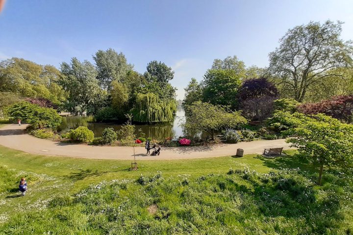 a group of people in a field