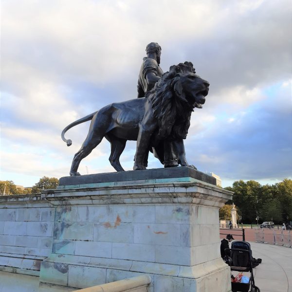 a dog jumping in the air