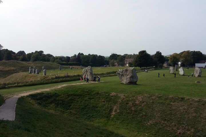 a group of people standing on a lush green field